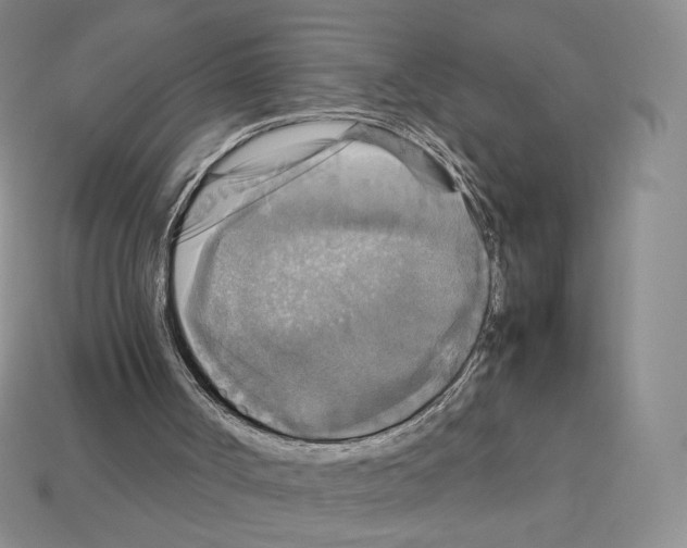 X0000112830002200910021232