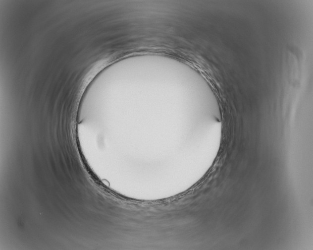 X0000112830003200910021232