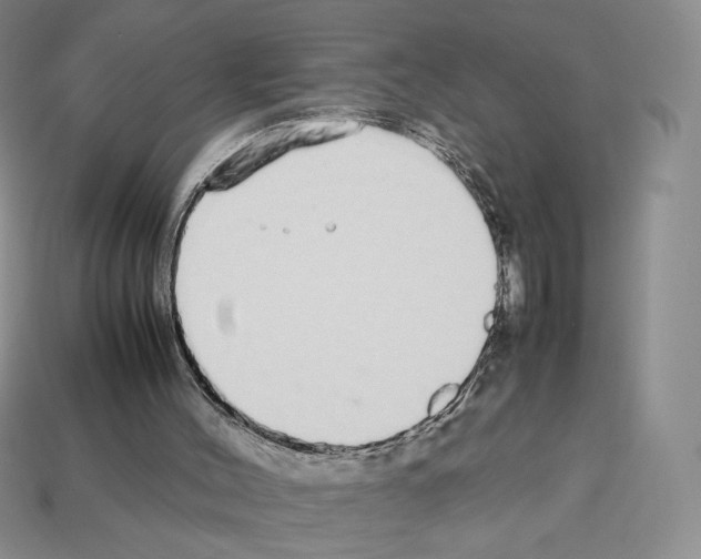 X0000112830004200910021232