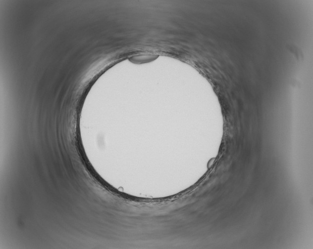 X0000112830005200910021232