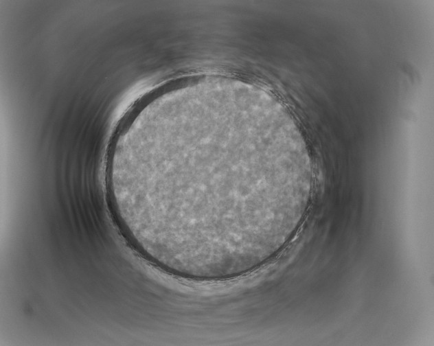 X0000112830006200910021232