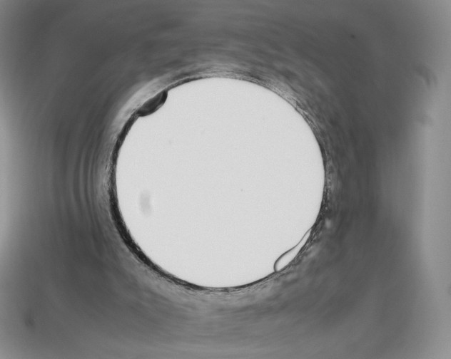 X0000112830007200910021232