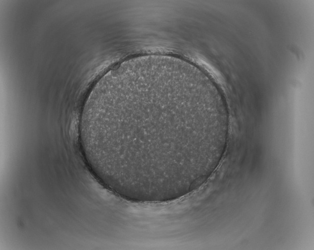 X0000112830009200910021232