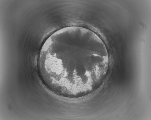 X0000112830010200910021232