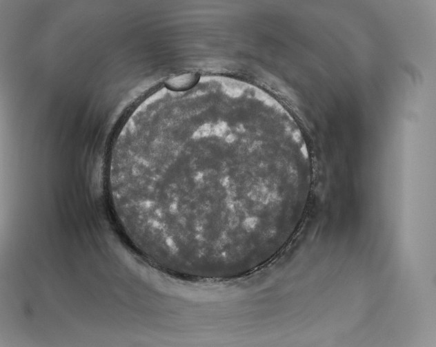 X0000112830012200910021232