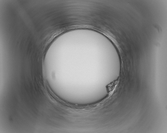 X0000112830013200910021232