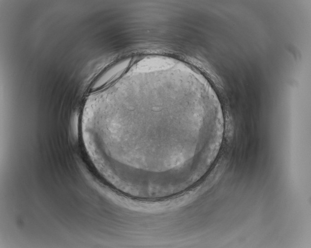 X0000112830014200910021232