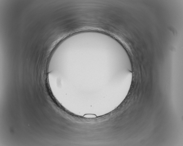 X0000112830015200910021232