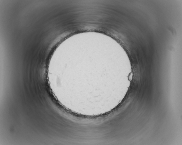 X0000112830016200910021232