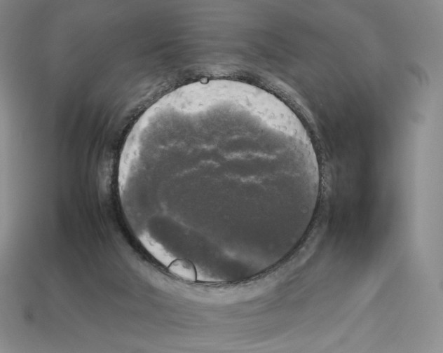 X0000112830018200910021232