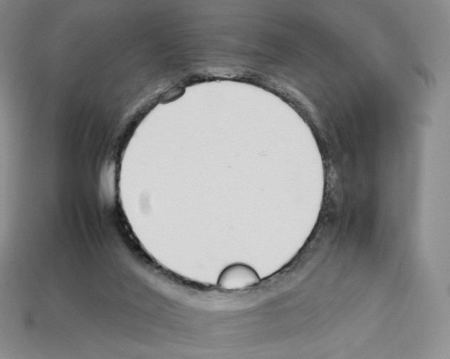 X0000112830020200910021232