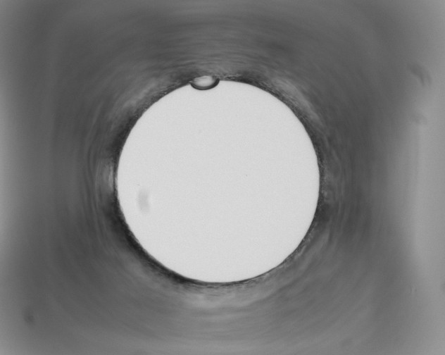 X0000112830021200910021232