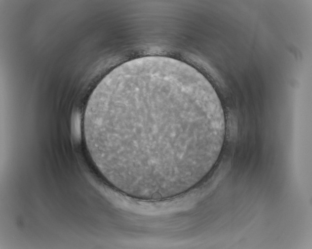 X0000112830022200910021232