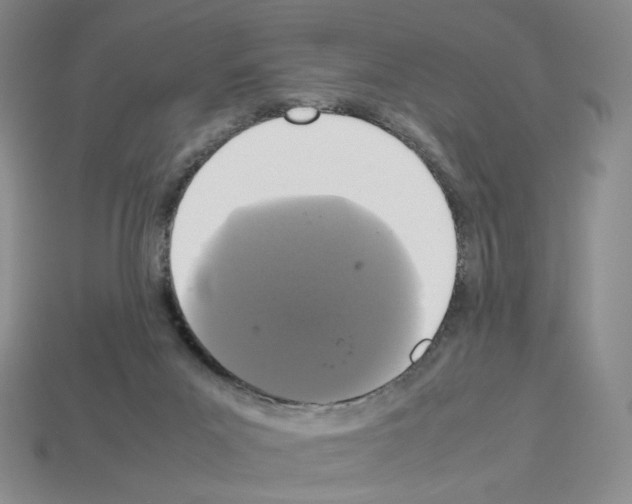 X0000112830023200910021232