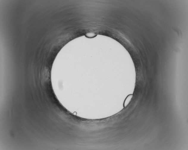 X0000112830025200910021232