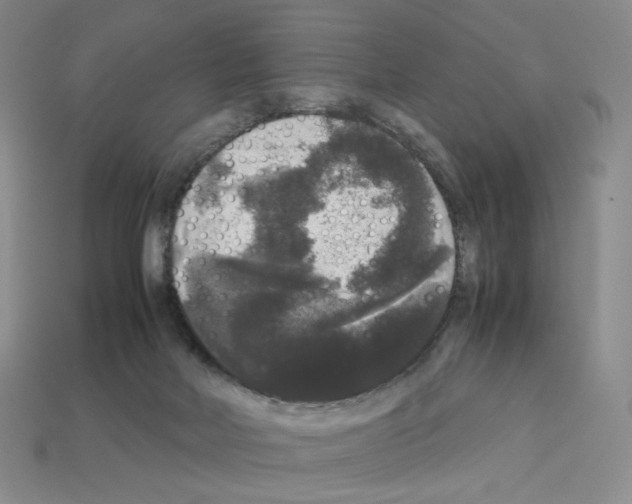 X0000112830026200910021232