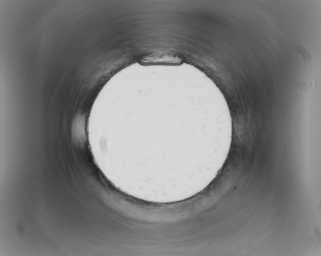 X0000112830028200910021232