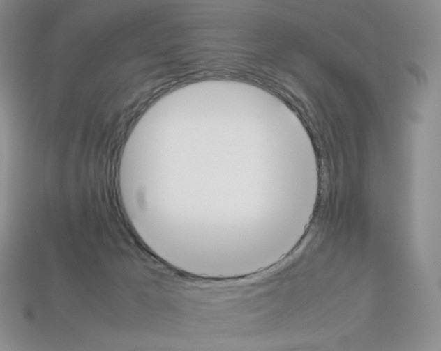 X0000112830029200910021232