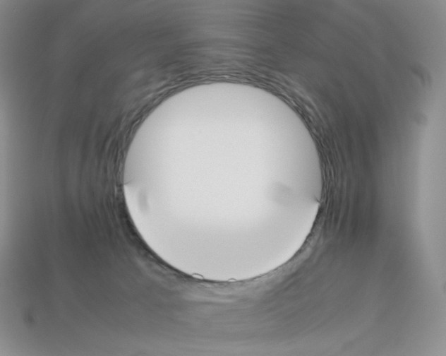 X0000112830033200910021232