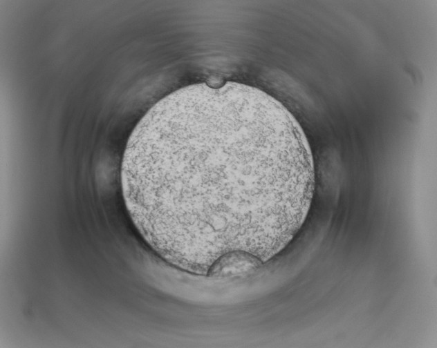 X0000112830034200910021232