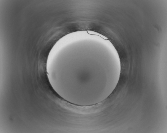 X0000112830035200910021232