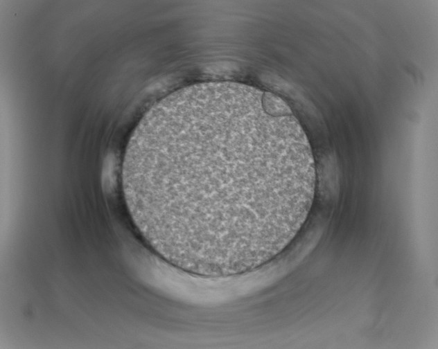 X0000112830038200910021232