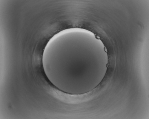 X0000112830039200910021232