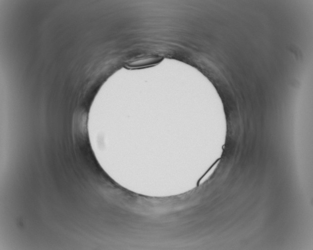 X0000112830041200910021232