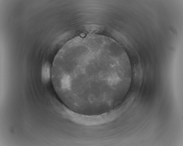 X0000112830042200910021232