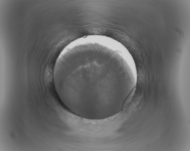 X0000112830043200910021232