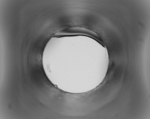 X0000112830045200910021232