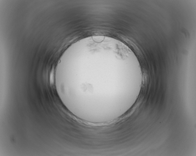 X0000112830046200910021232