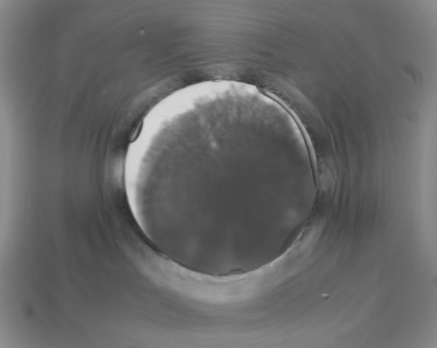 X0000112830047200910021232