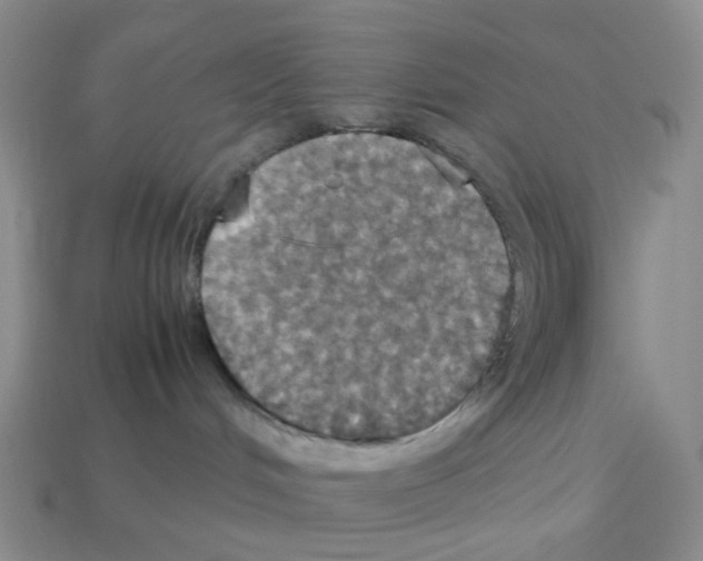 X0000112830048200910021232