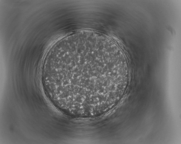 X0000112830049200910021231