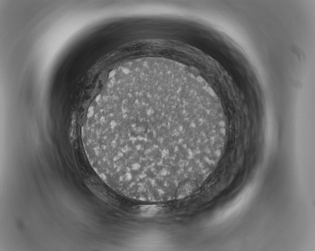 X0000112830050200910021231