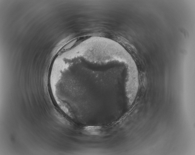 X0000112830051200910021231