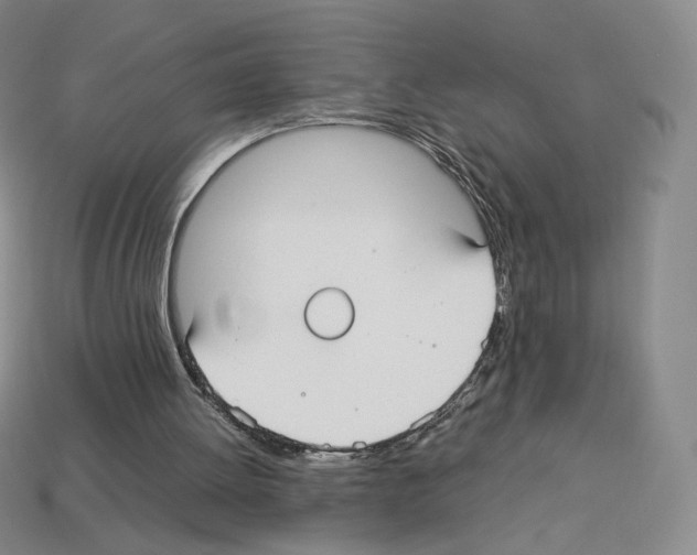 X0000112830052200910021231