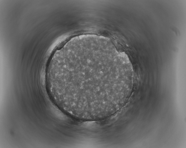 X0000112830054200910021231