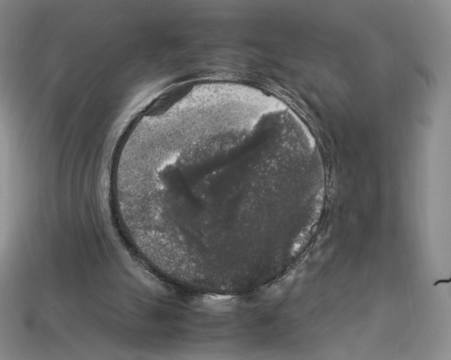 X0000112830055200910021231