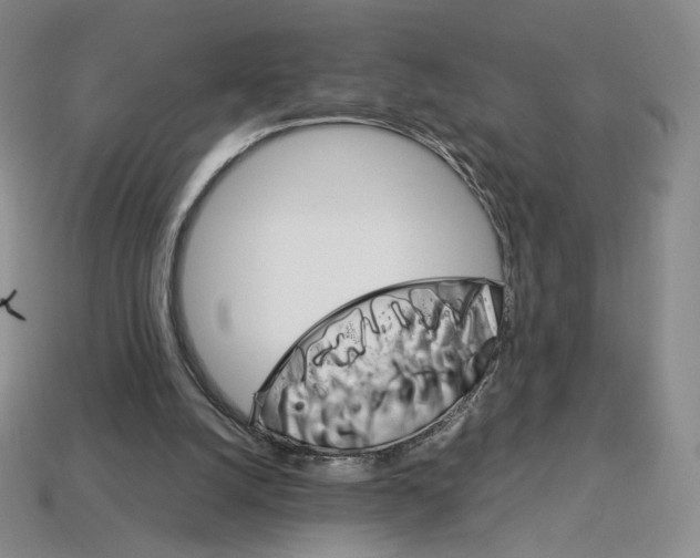 X0000112830056200910021231