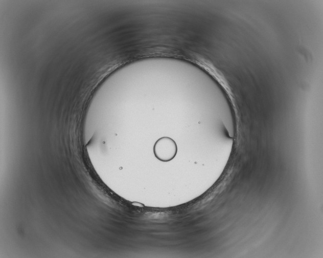 X0000112830057200910021231