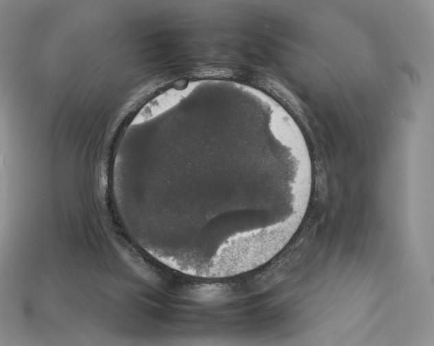 X0000112830059200910021231