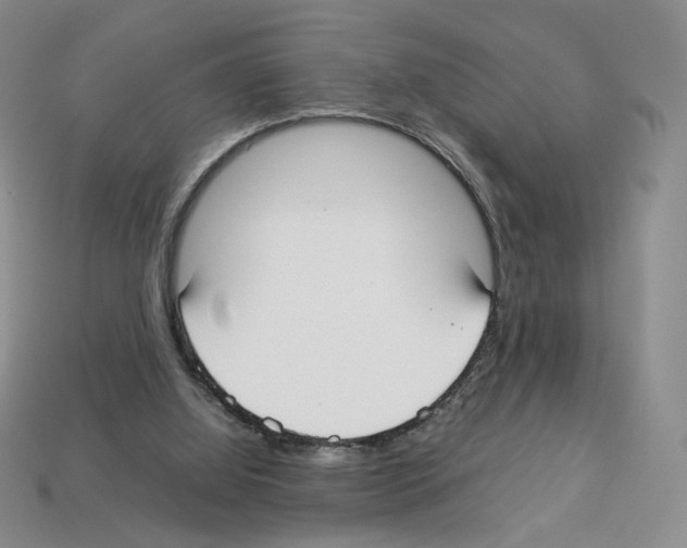 X0000112830060200910021231