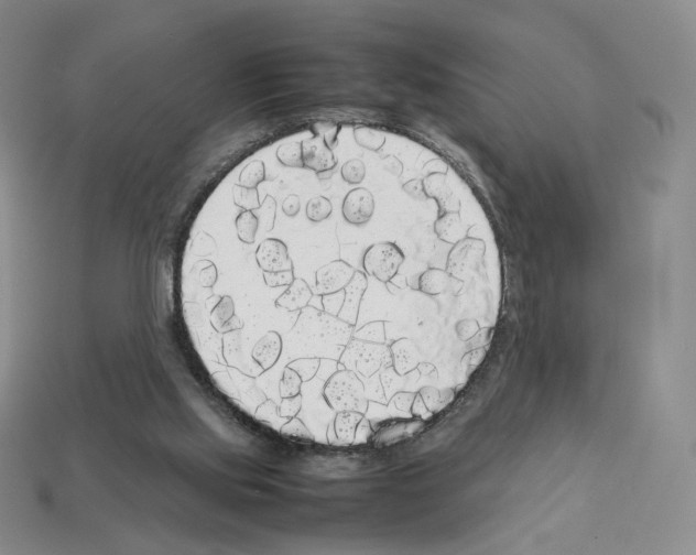 X0000112830061200910021231