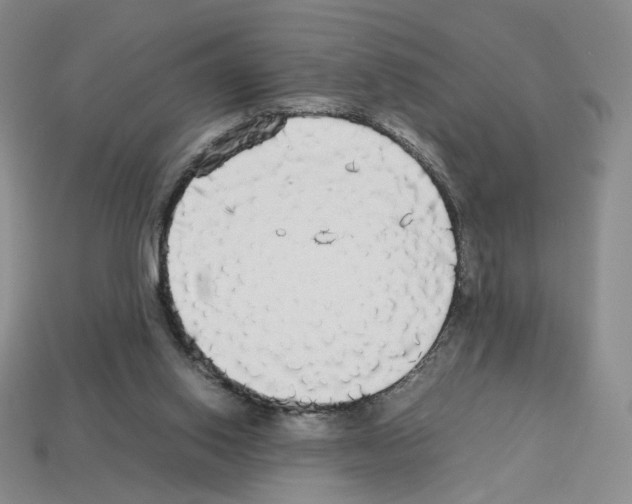 X0000112830062200910021231