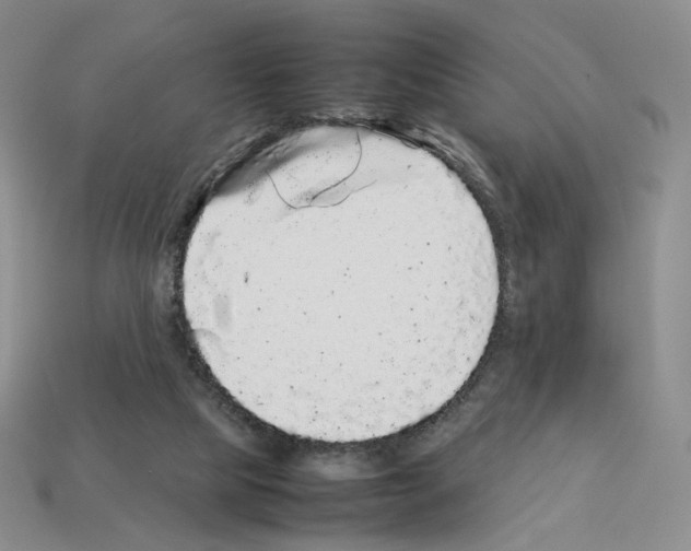 X0000112830065200910021231