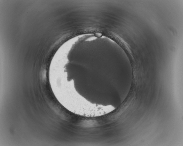 X0000112830067200910021231