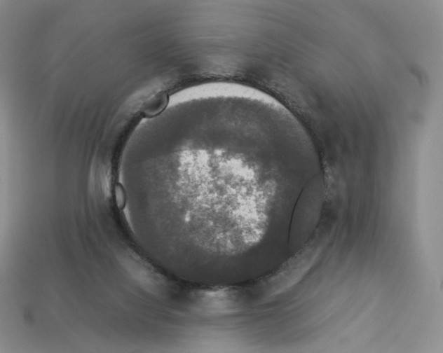 X0000112830068200910021231