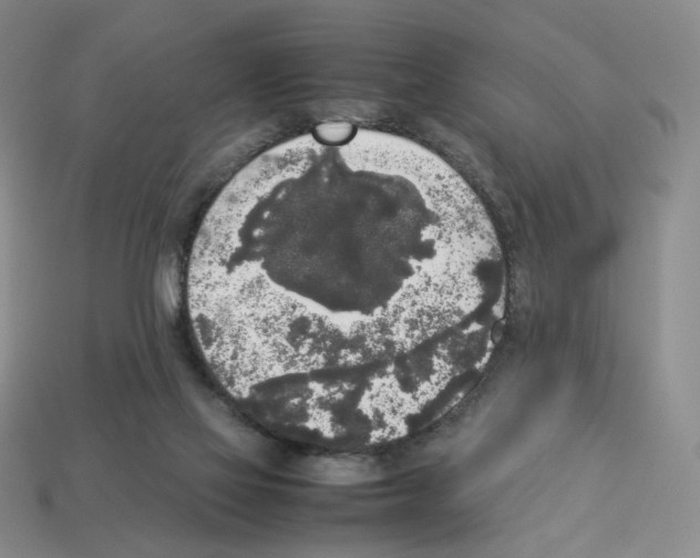 X0000112830069200910021231